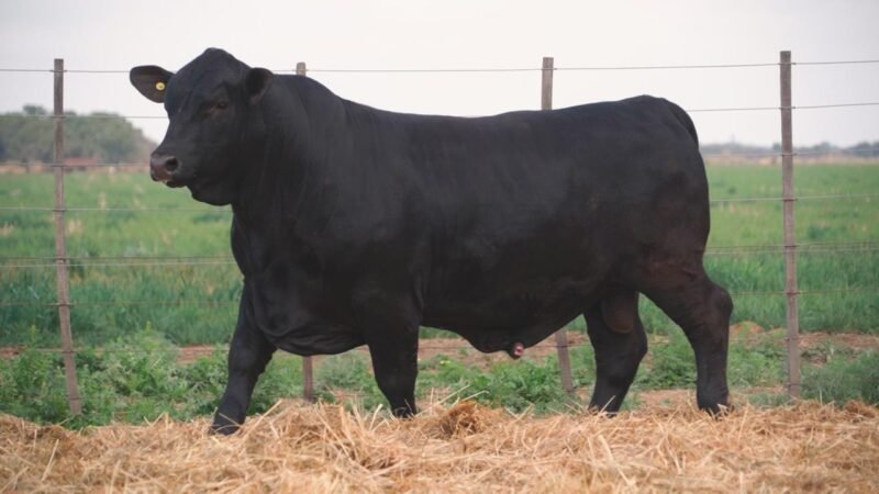 LOTE 24 QUILPO 3745 P 8473 LUK